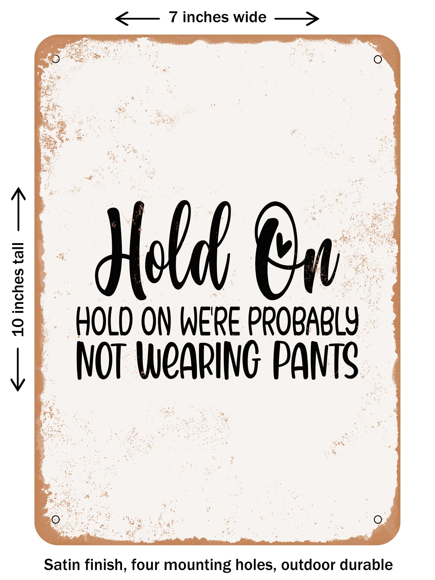 DECORATIVE METAL SIGN - Hold On Were Probably Not Wearing Pants  - Vintage Rusty Look