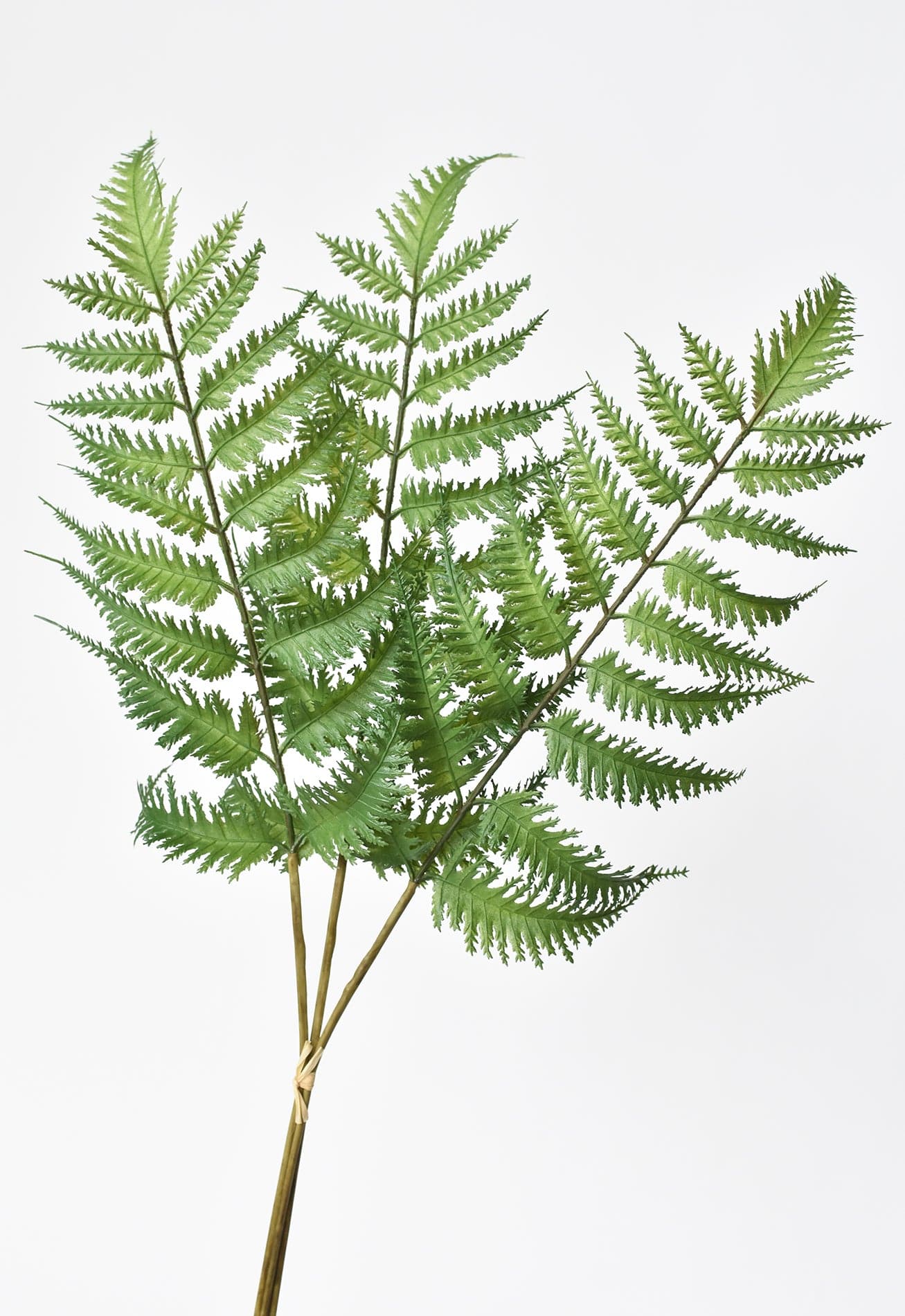 22&#x22; Faux Forest Fern Stem Bundle