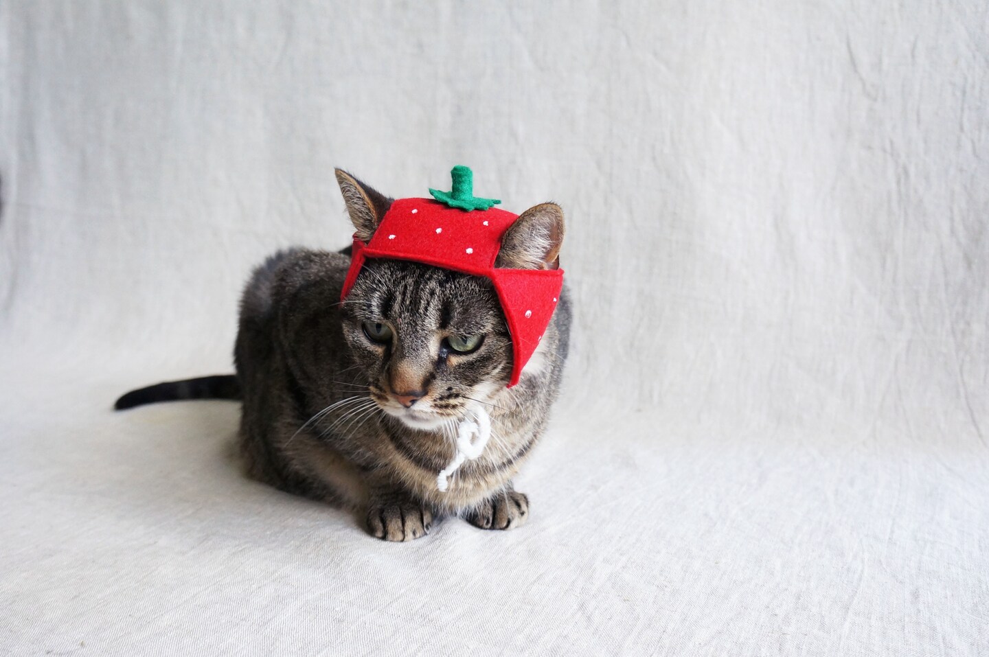 Strawberry Hat For Cats | Cat hat | MakerPlace by Michaels
