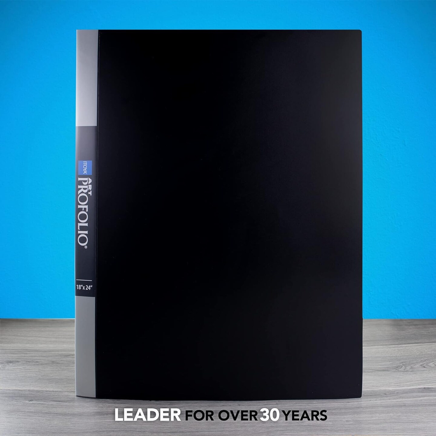 Original Art ProFolio 18x24 Black Photo Album Book with 48 Pages - Protective Binder with Plastic Sleeves