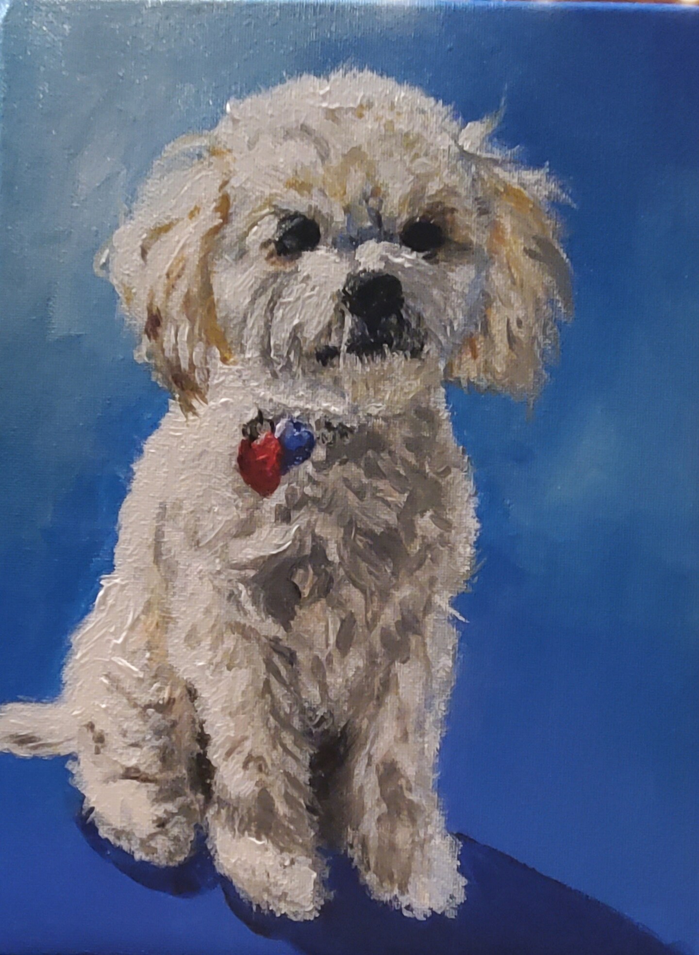 How-To name is Pet Painting