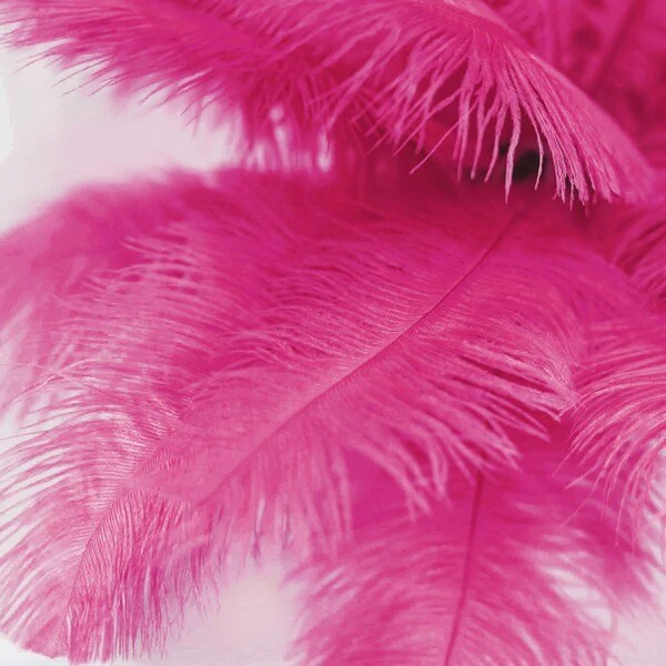 12 pcs 13"-15" long Genuine Ostrich Feathers