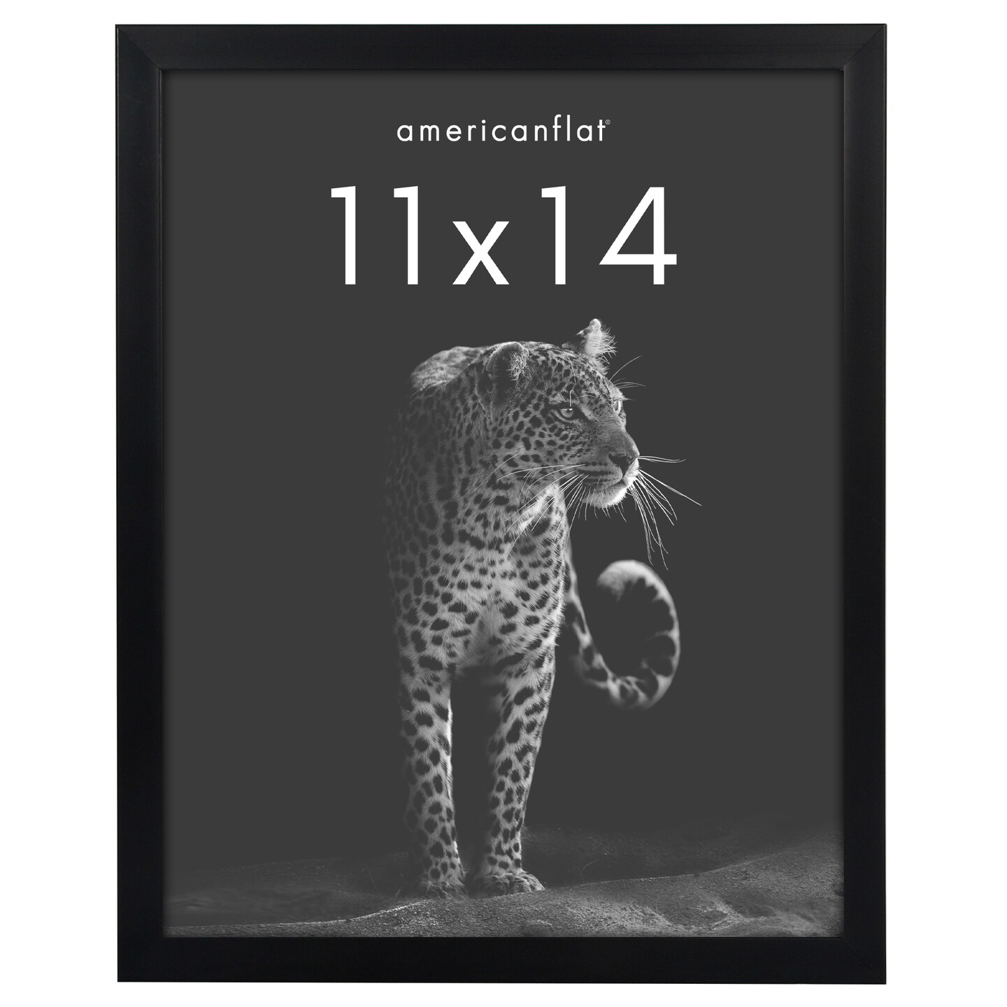Americanflat Gallery-Style Picture Frame - Ideal Frame for Gallery Wall Display - Showcase Artwork, Prints, and Photos - Shatter Resistant Glass - Hanging Hardware with Drywall Anchor