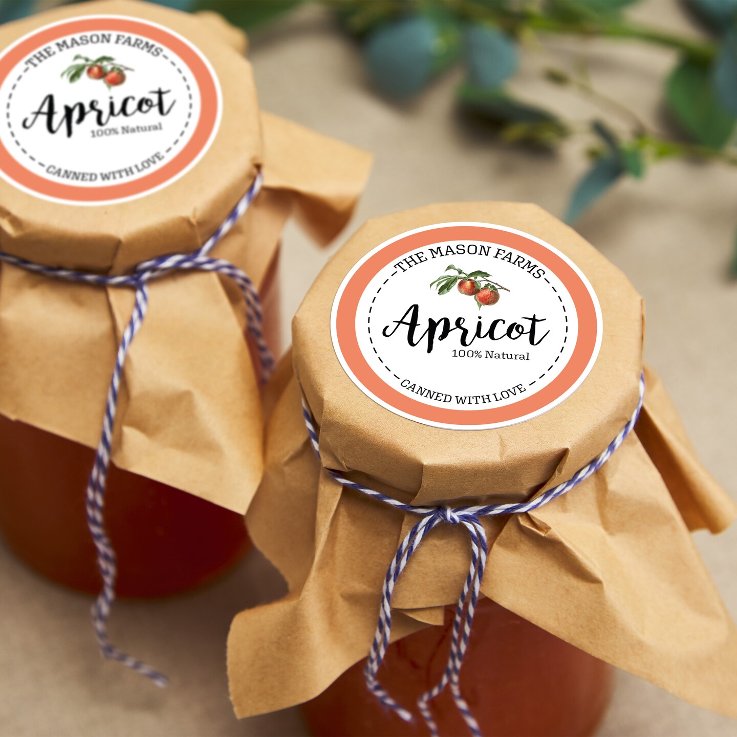 Avery Printable Round Labels, 2.5&#x22; Diameter, Matte White, 225 Customizable Labels (22562)