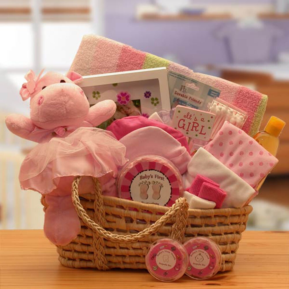 Gift Basket Drop Shipping Our Precious Baby New Baby Carrier -Medium Pink