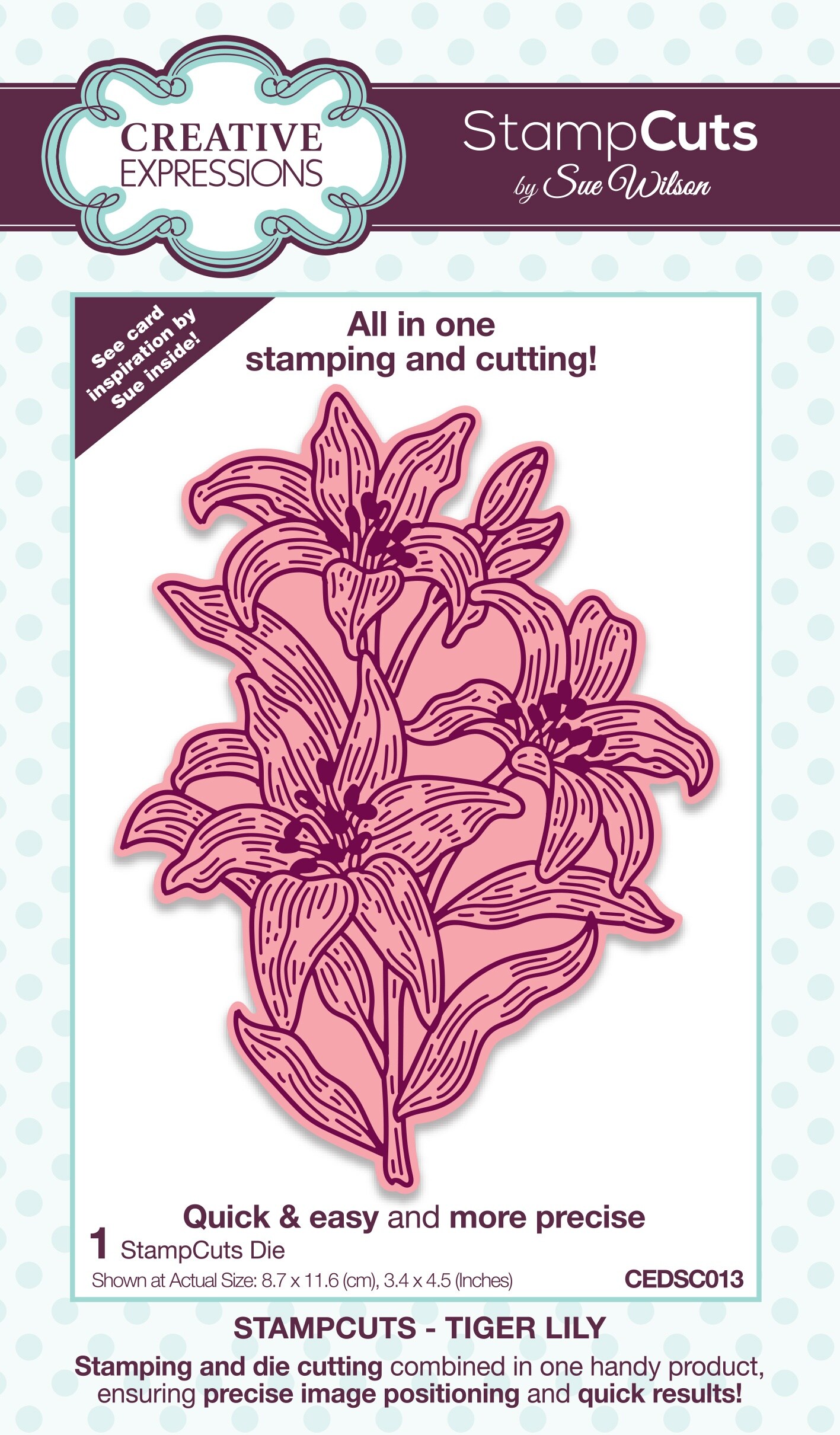 Creative Expressions StampCuts Dies By Sue Wilson-Tiger Lily