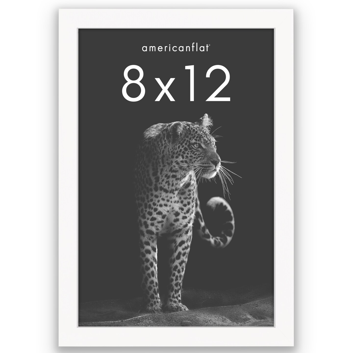 Americanflat Gallery-Style Picture Frame - Ideal Frame for Gallery Wall Display - Showcase Artwork, Prints, and Photos - Shatter Resistant Glass - Hanging Hardware with Drywall Anchor