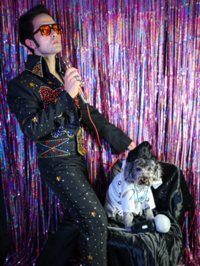 Elvis costumes for dogs best sale