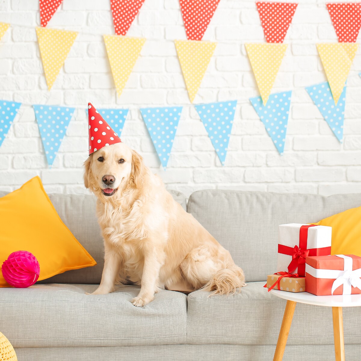 DIY Party Decorations with Siser