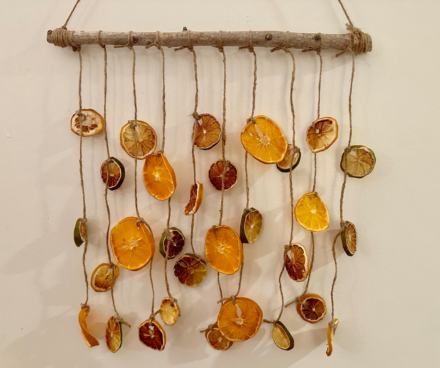 Dried Citrus Wall Hanging | MakerPlace by Michaels