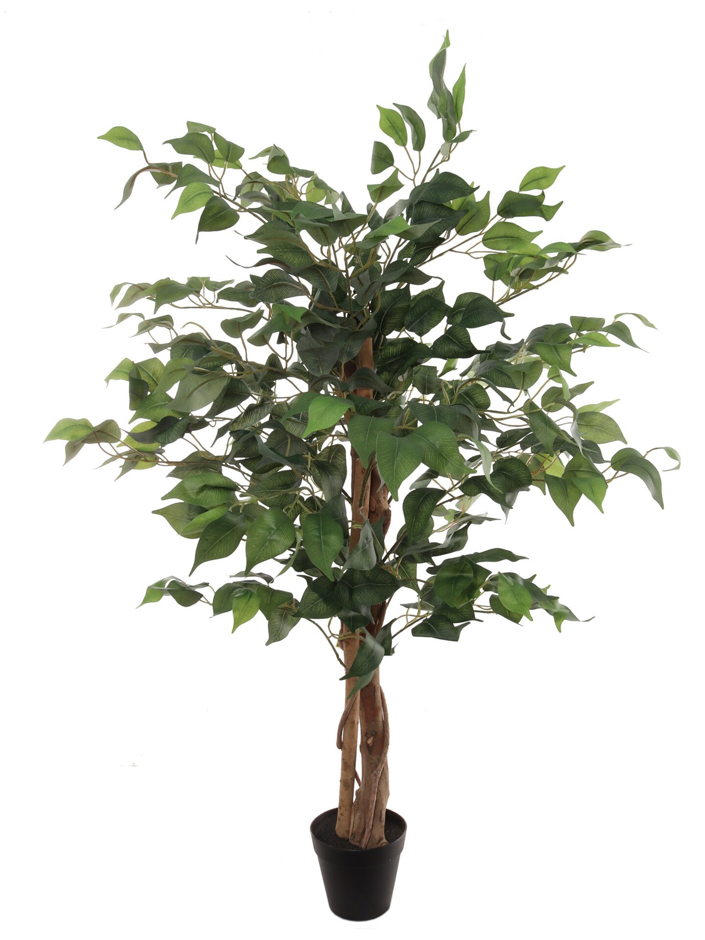 Premium 3-Foot Ficus Tree with 378 Lush Leaves - Perfect for Home or ...