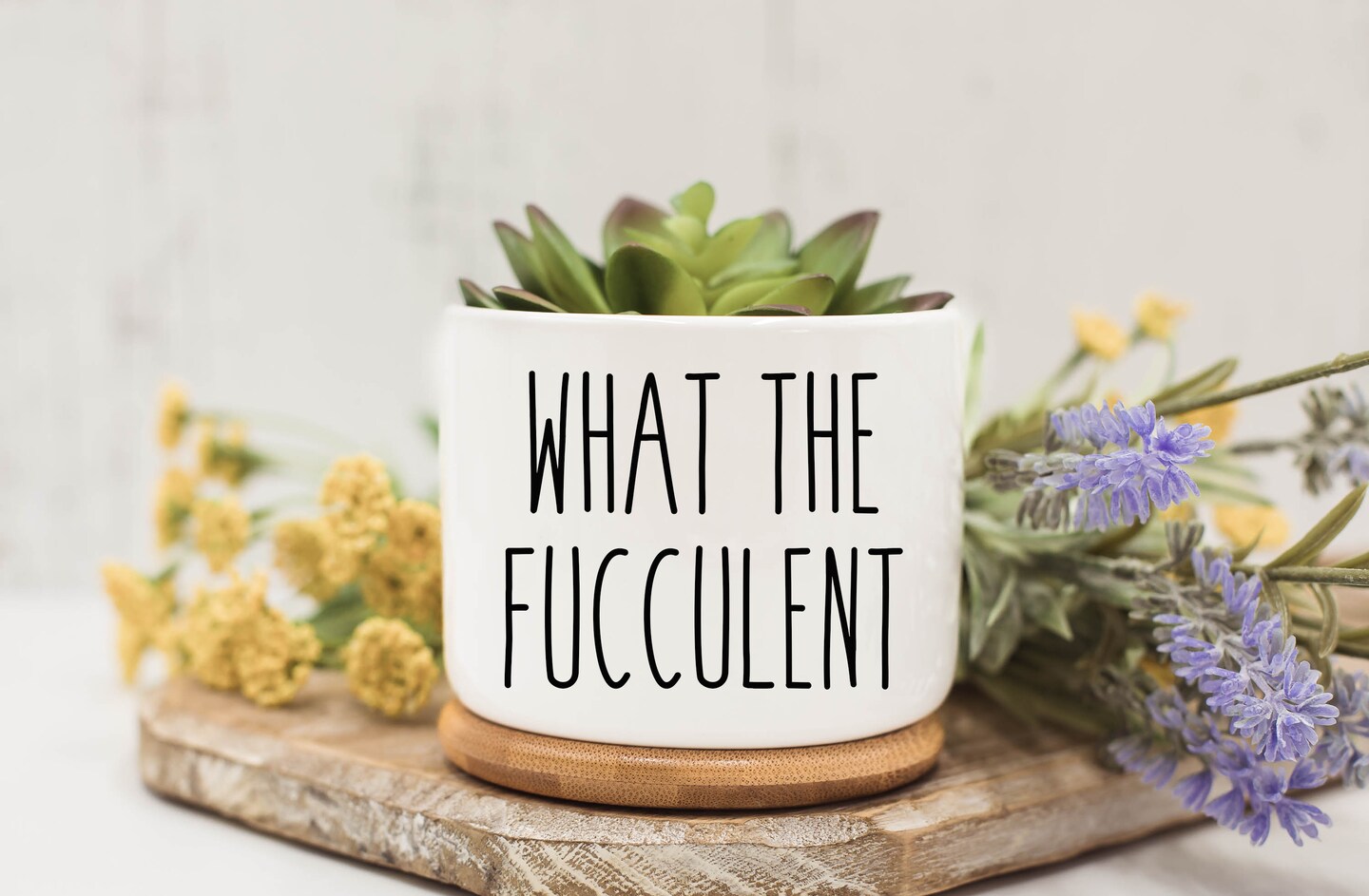 What the fucculent, Succulent Pots, Succulent Planter with Drainage,Funny  Planter, Mini Succulent Planter,Funny Succulent Pot,Gift Fo