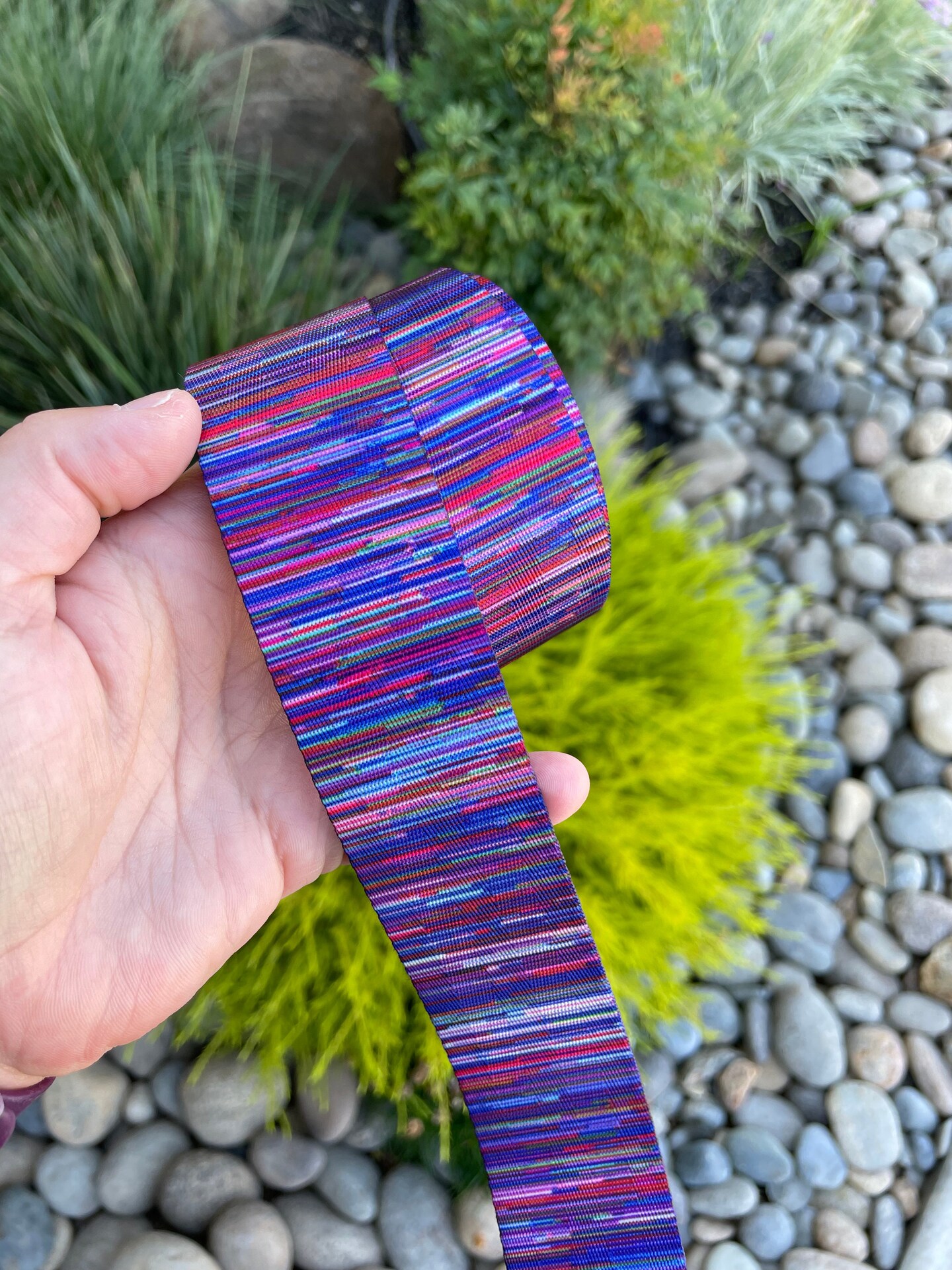 Jewel Stripe 1.5&#x201D; Seatbelt Webbing (by the yard)