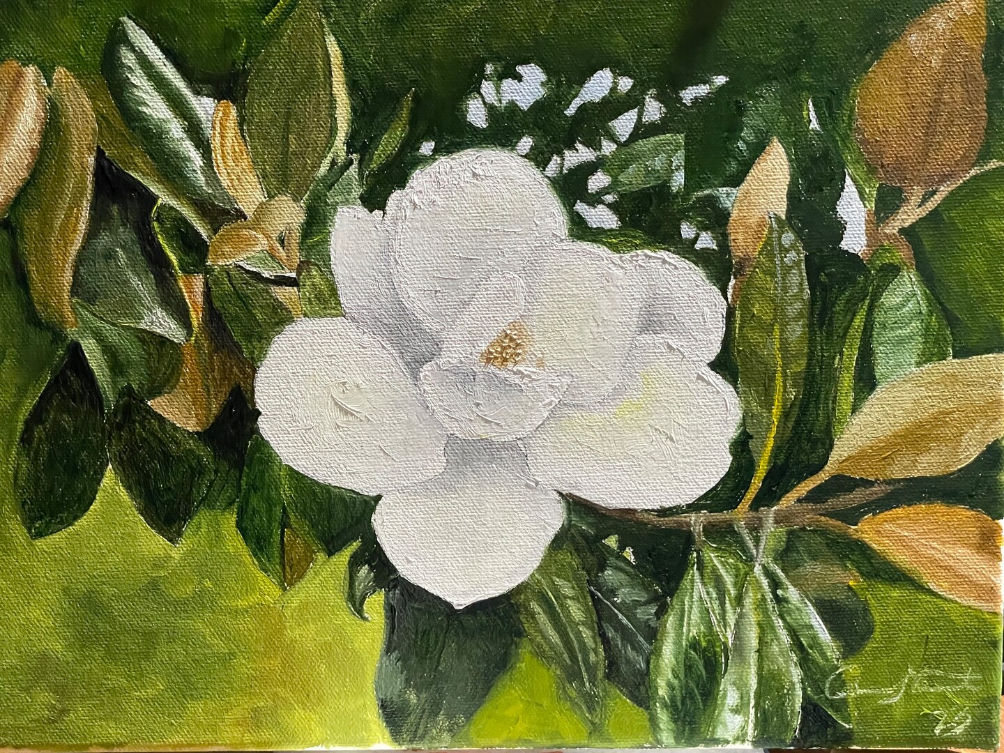 product name is Magnolia Blossom and Leaves Original Oil Painting