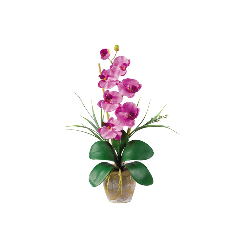 Nearly Natural Home Seasonal Decorative Single Stem Phalaenopsis Orchid Silk Flower Arrangement