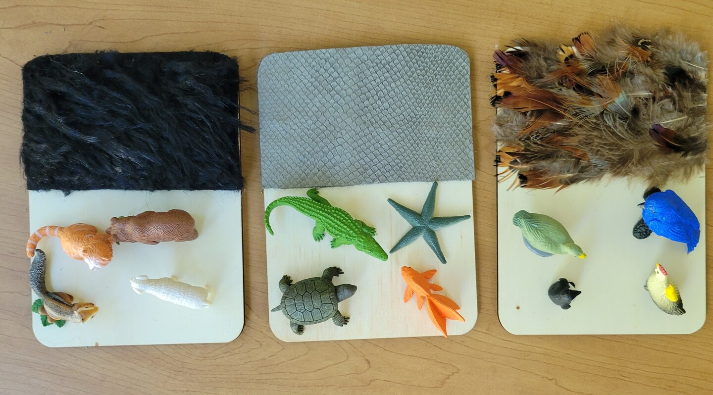 Fur, Scales, and Feathers Sorting Activity image 2