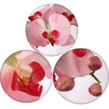 2-Pack: Pink Phalaenopsis Orchid Stem by Floral Home&#xAE;