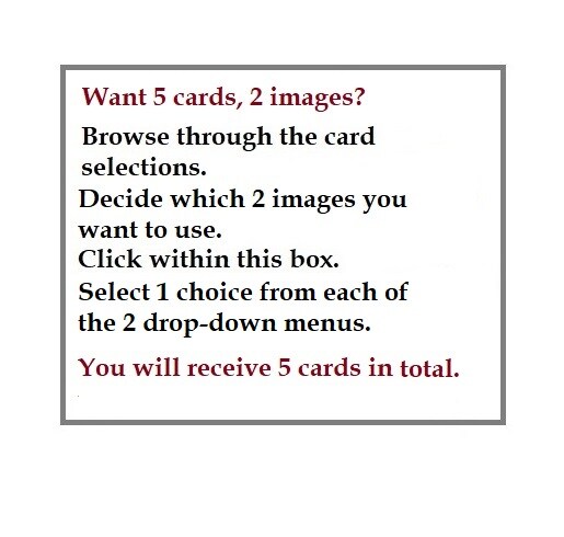 Package includes a total of 5 Cards with Envelopes. Select 2 images ...