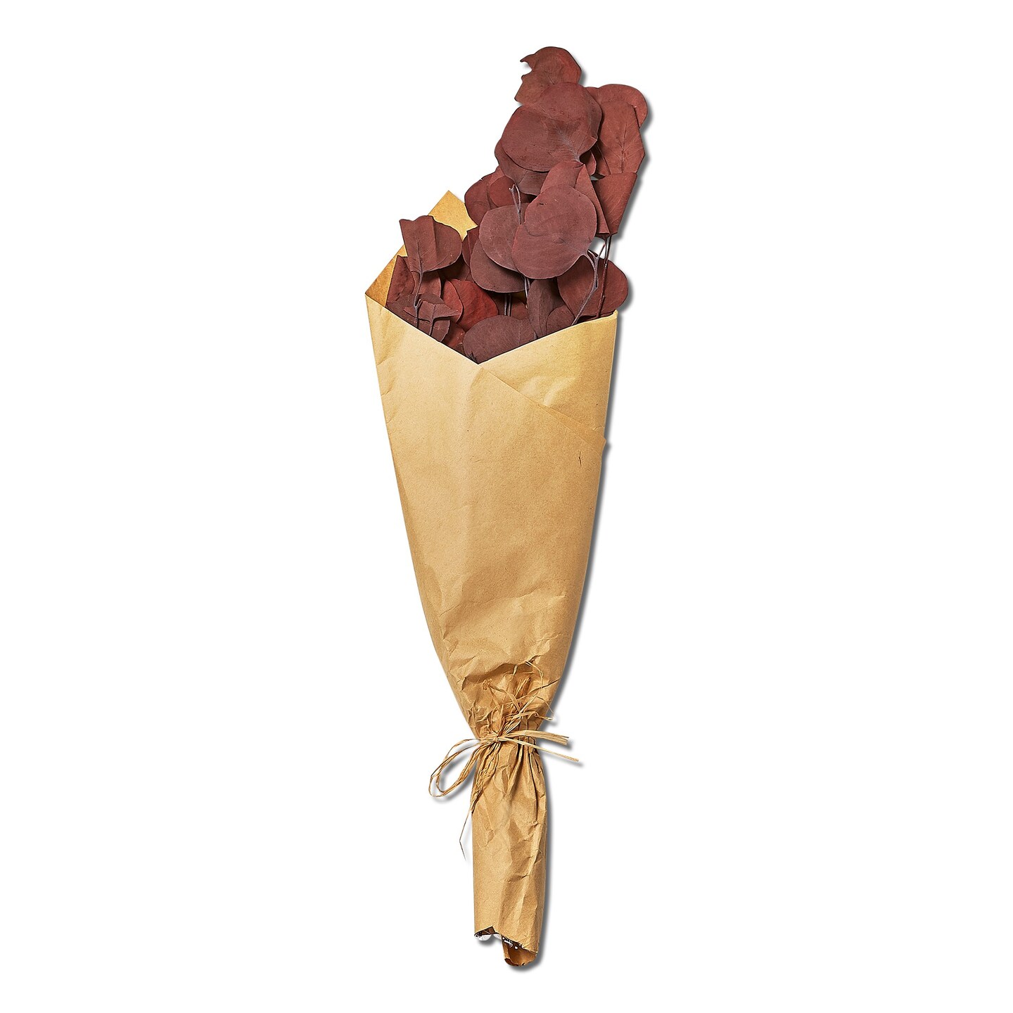 Natural Dried Plants Flower Eucalyptus Bunch Plum, 20 inch. Indoor Door Use Only