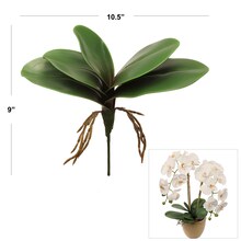 12-Pack: 11&#x22; Phalaenopsis Orchid Foliage Cluster Pick by Floral Home&#xAE;