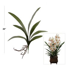 Cymbidium Orchid Leaf Pick: Set of 24, 20-Inch, with Roots by Floral Home&#xAE;