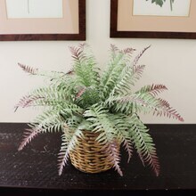 2-Pack: Frost River Fern Bush with 15 Realistic Latex Leaves, 22&#x22; Wide, UV Resistant, Faux Greenery by Floral Home&#xAE;