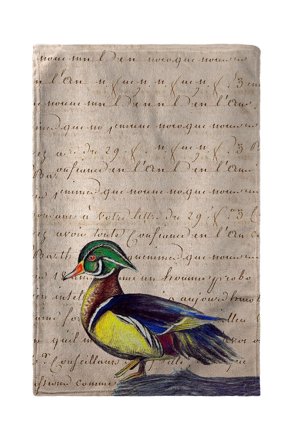 Betsy Drake Male Wood Duck Beach Towel