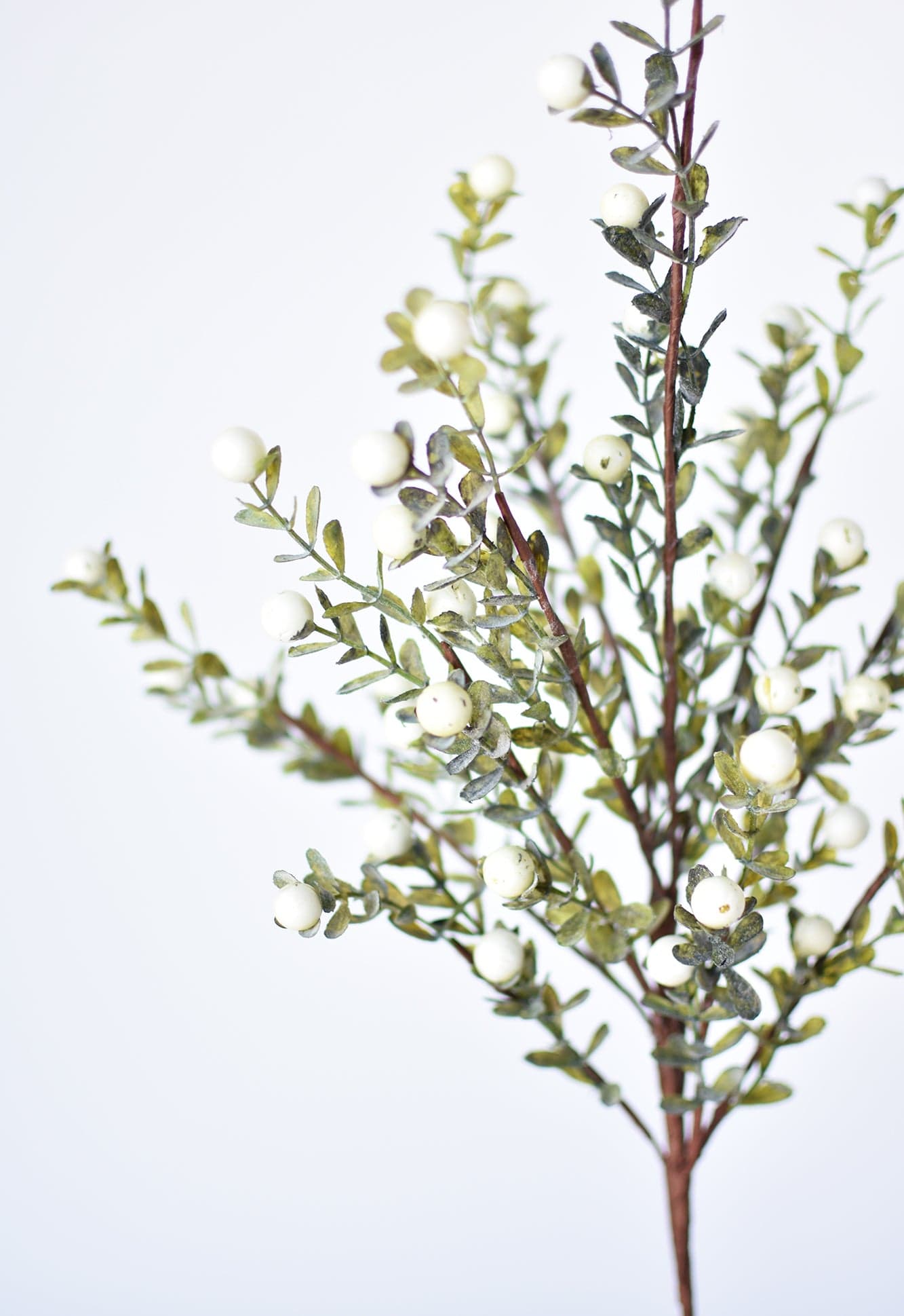 21&#x201D; White Berry Boxwood Greenery Stem
