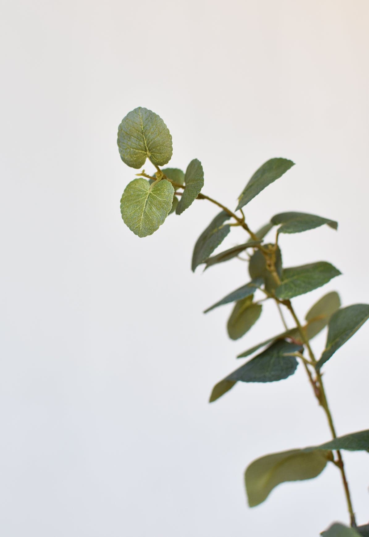 40&#x22; Faux Eucalyptus Stem