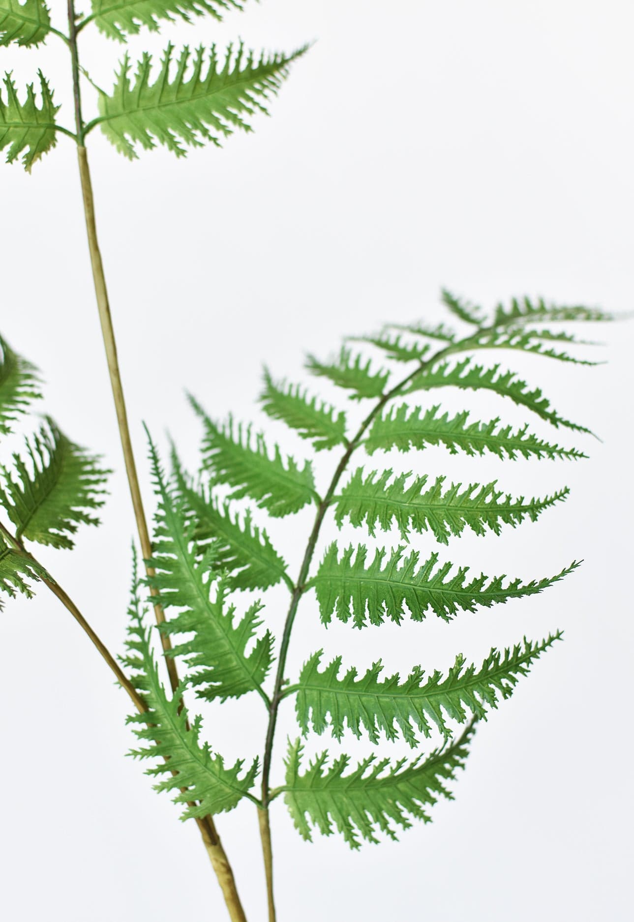 33&#x22; Faux Forest Fern Spray