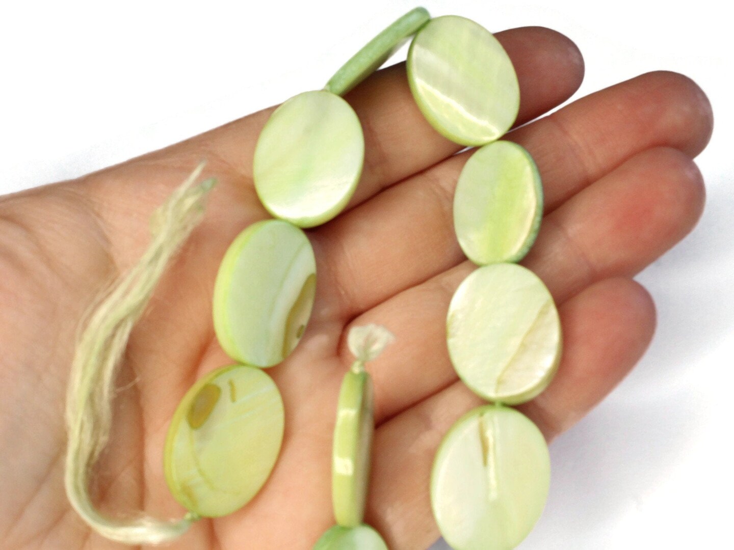 20mm Green Mother of Pearl Oval Disc Beads Dyed Shell Beads Seashell Beads