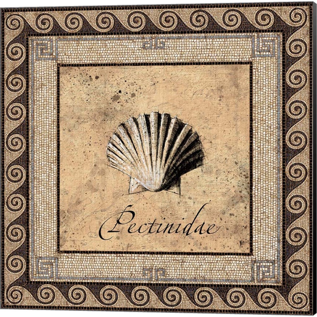 Shell Works by Paul Panossian 14" x 14" Canvas Wall Art (Set of 2