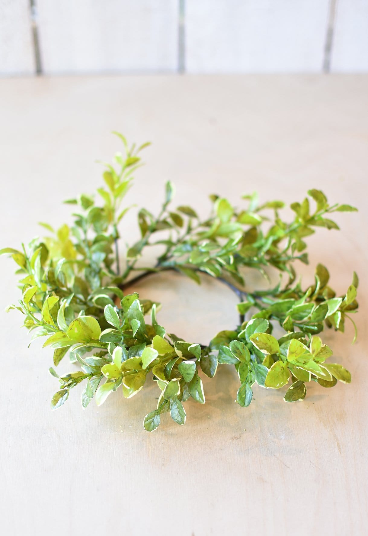 9&#x22; Faux Variegated Boxwood Candle Ring (Fits 3&#x22; pillar)