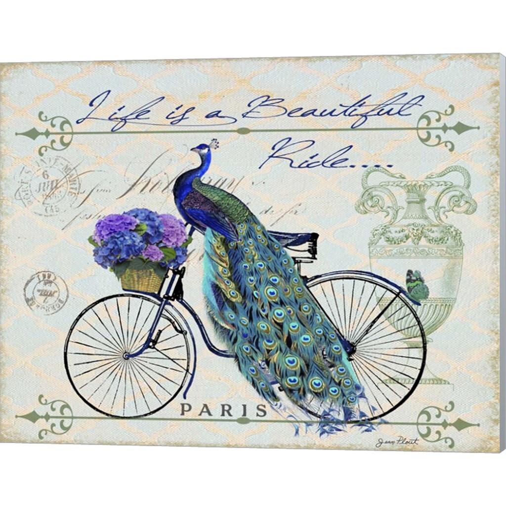 Peacock On Bicylce by Jean Plout 15&#x22; x 12&#x22; Canvas Wall Art (Set of 2)