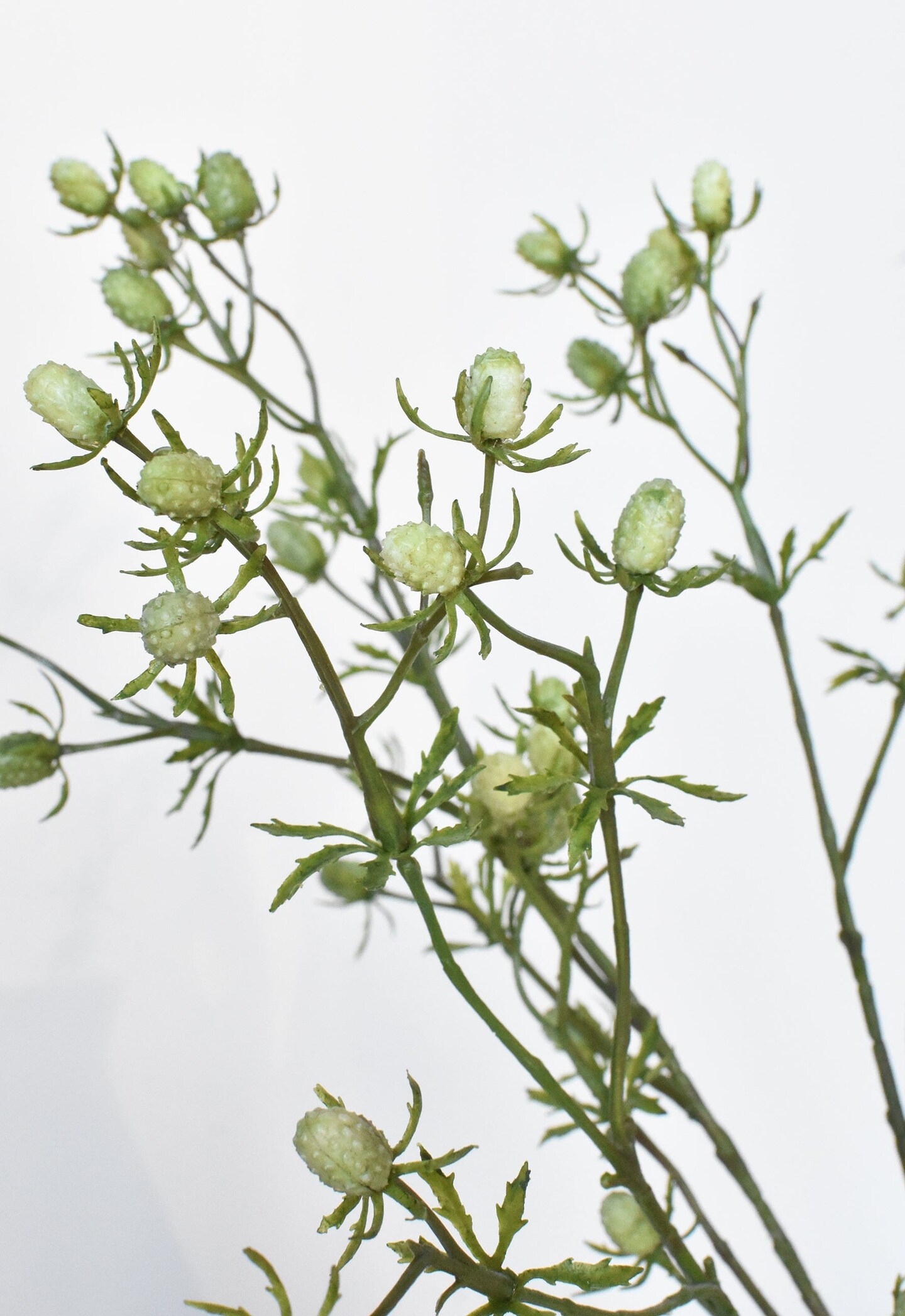 24&#x22; Faux Green Thistle Spray Stem