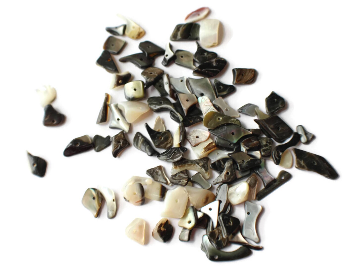 120 Black Lip Shells Bead Chips - 1 oz. Gray Nugget Sea Shell Beads