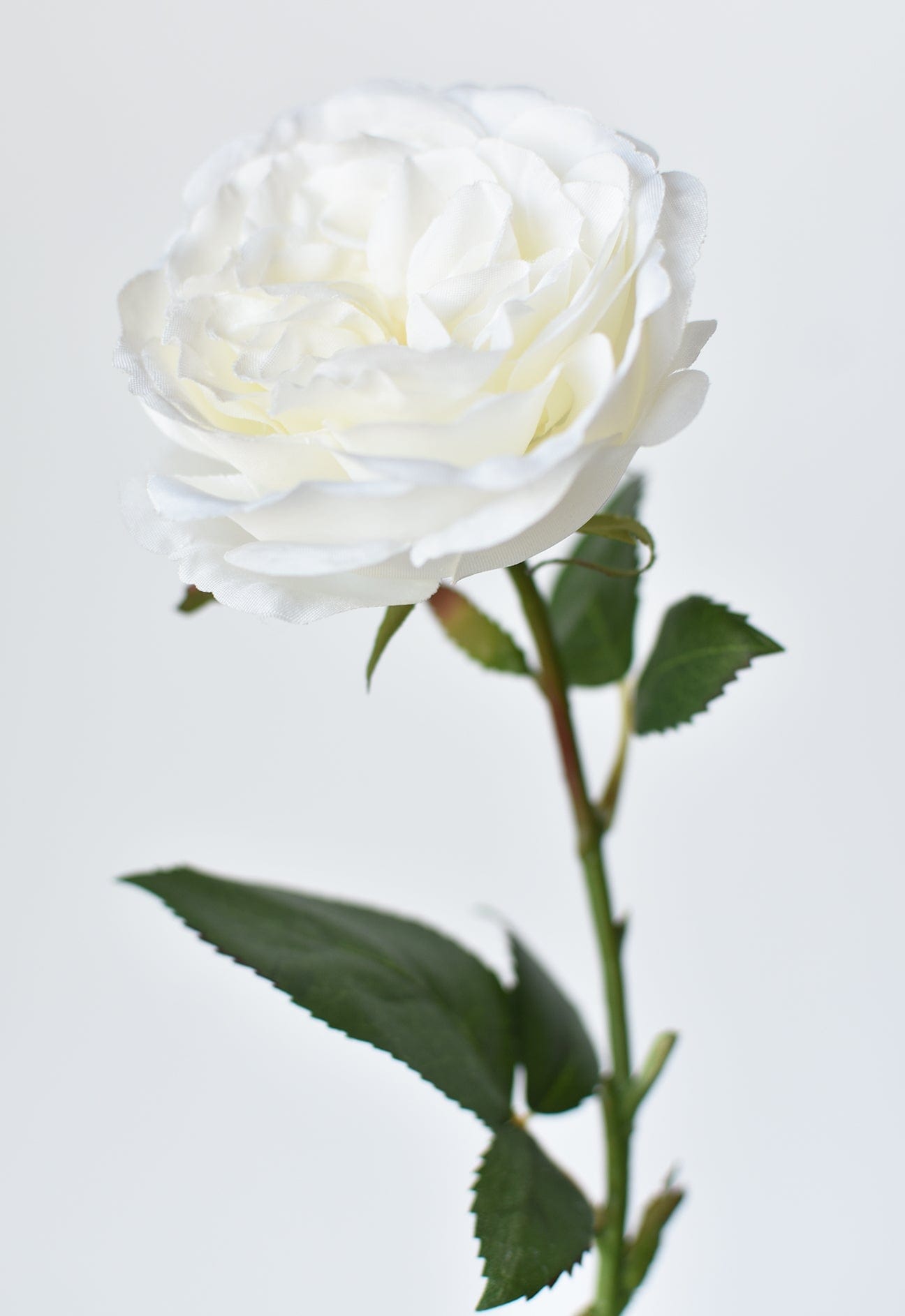20.5&#x22; Faux Single Rose Stem White