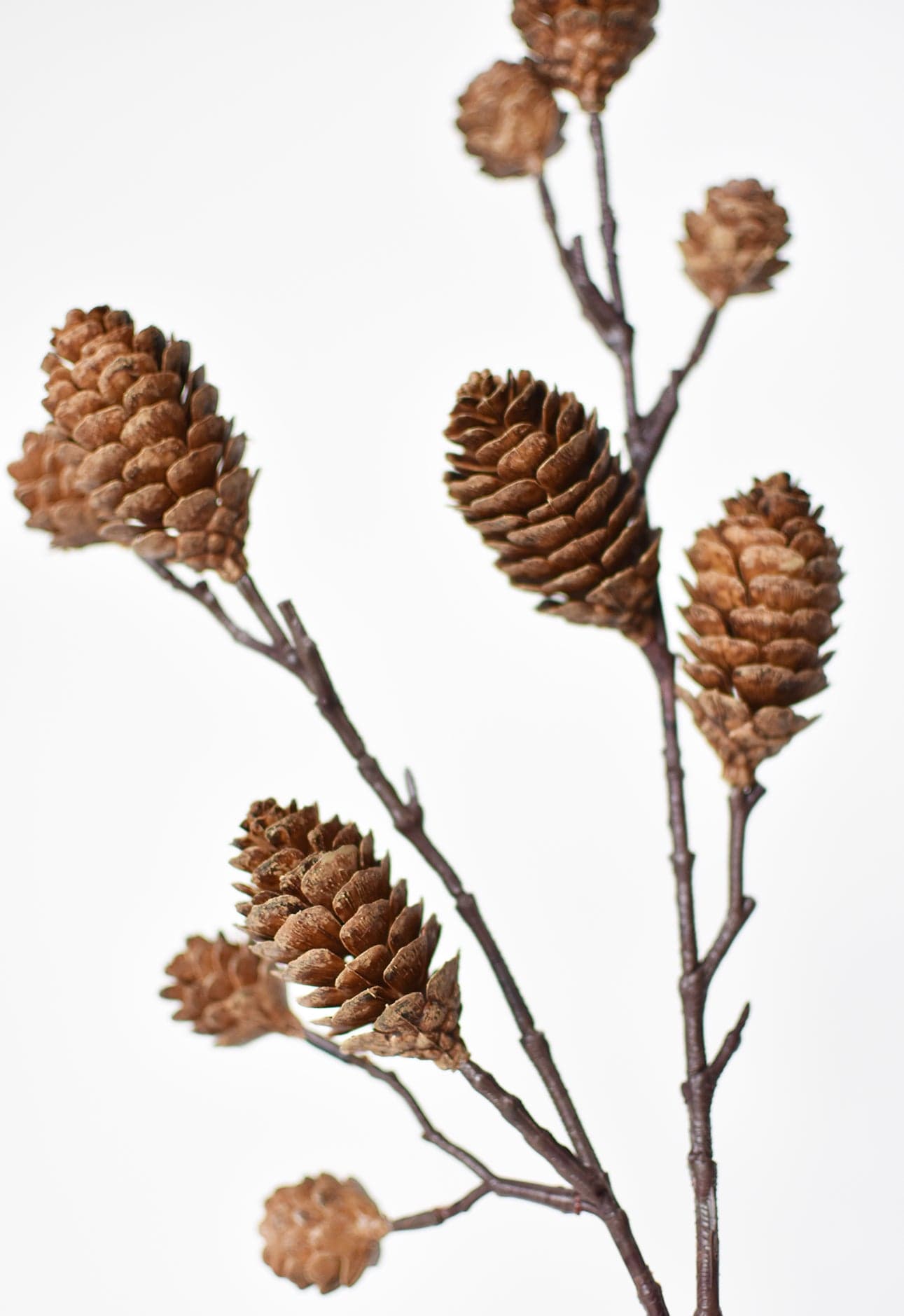 28&#x22; Faux Pinecone Branch Stem