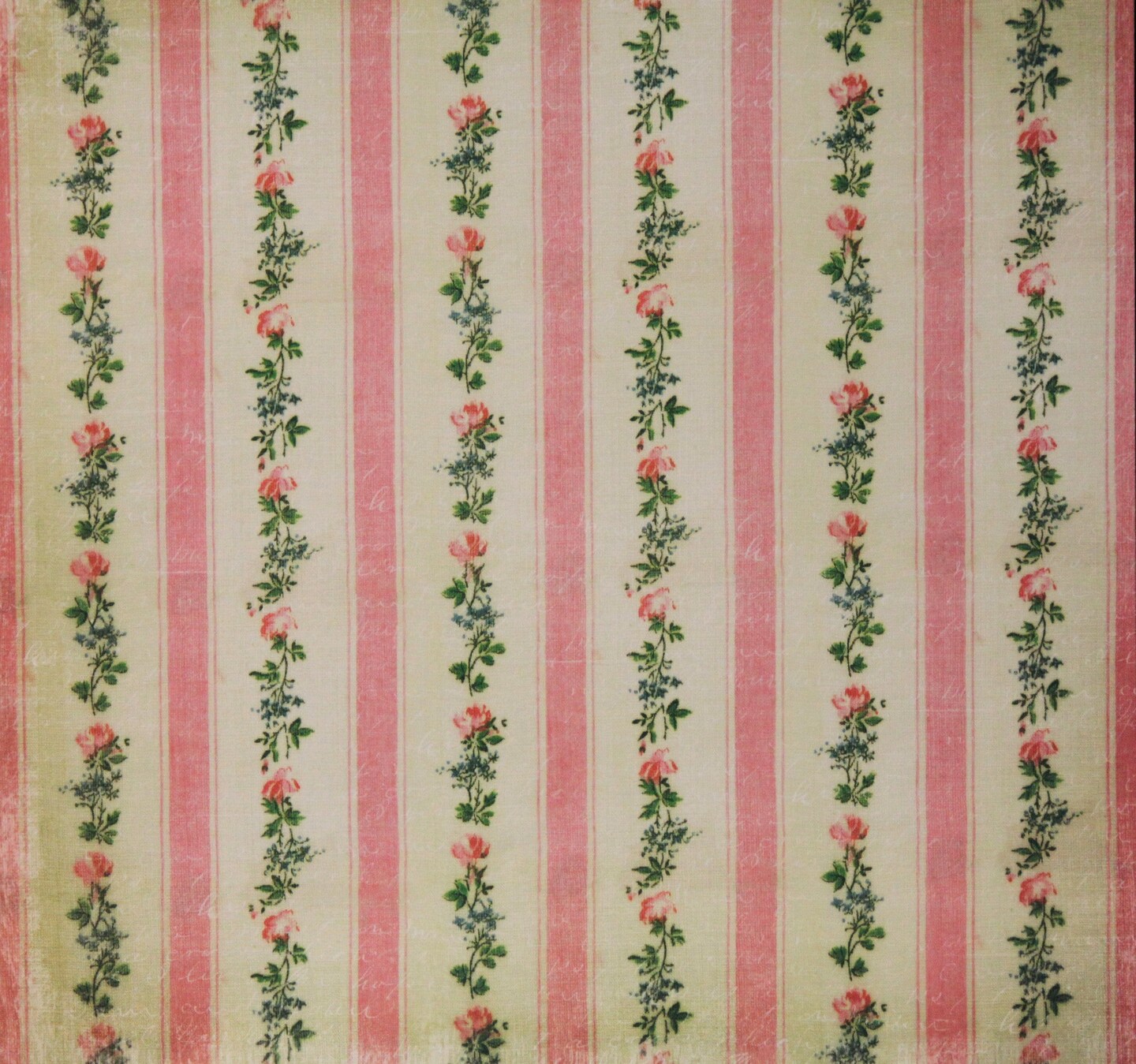 The Paper Studio 12 x 12 Kirby Teesdale Botanical Collection Flat Scrapbook Paper