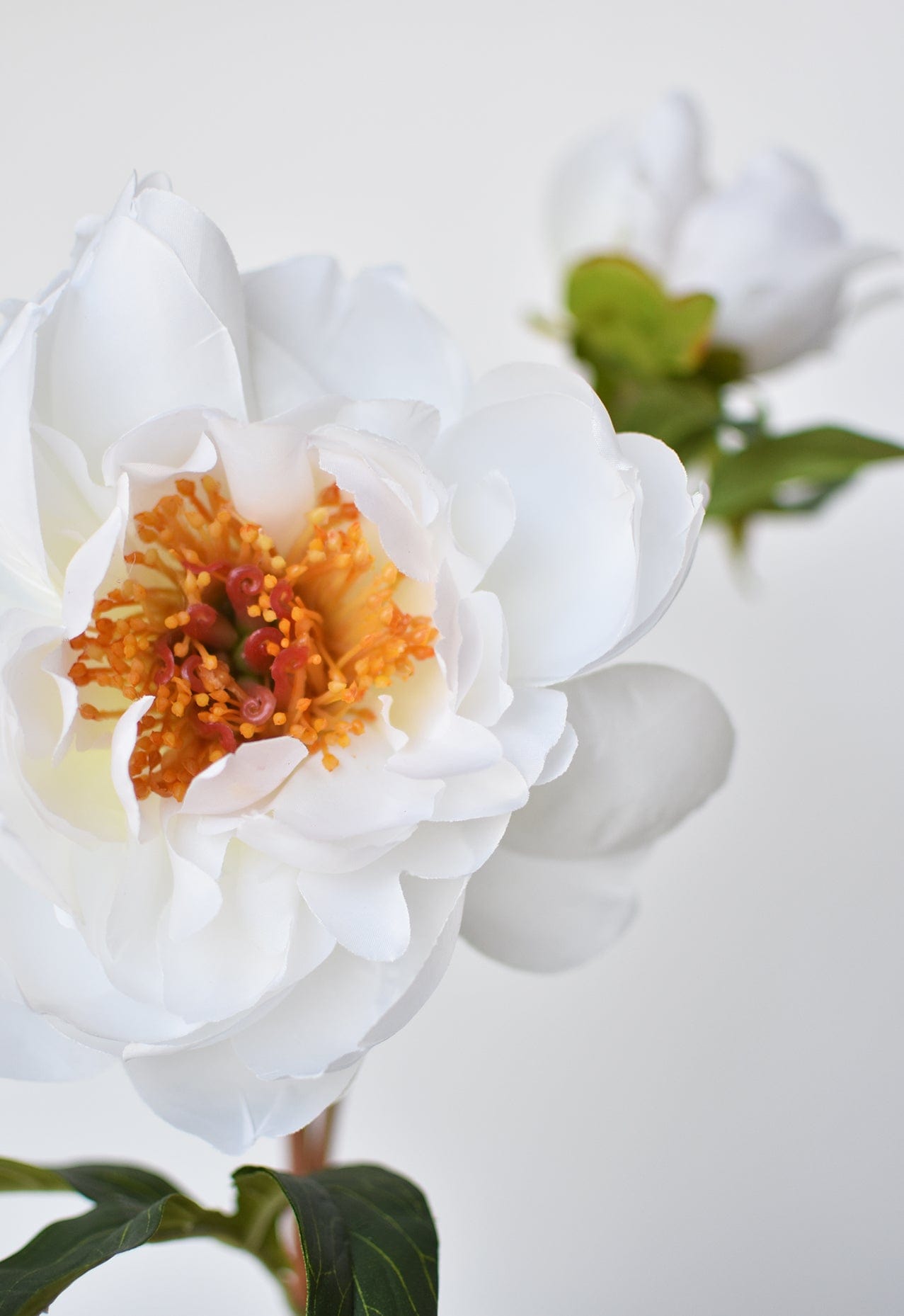 22.5" Faux Peony Stem w/Bud White Michaels