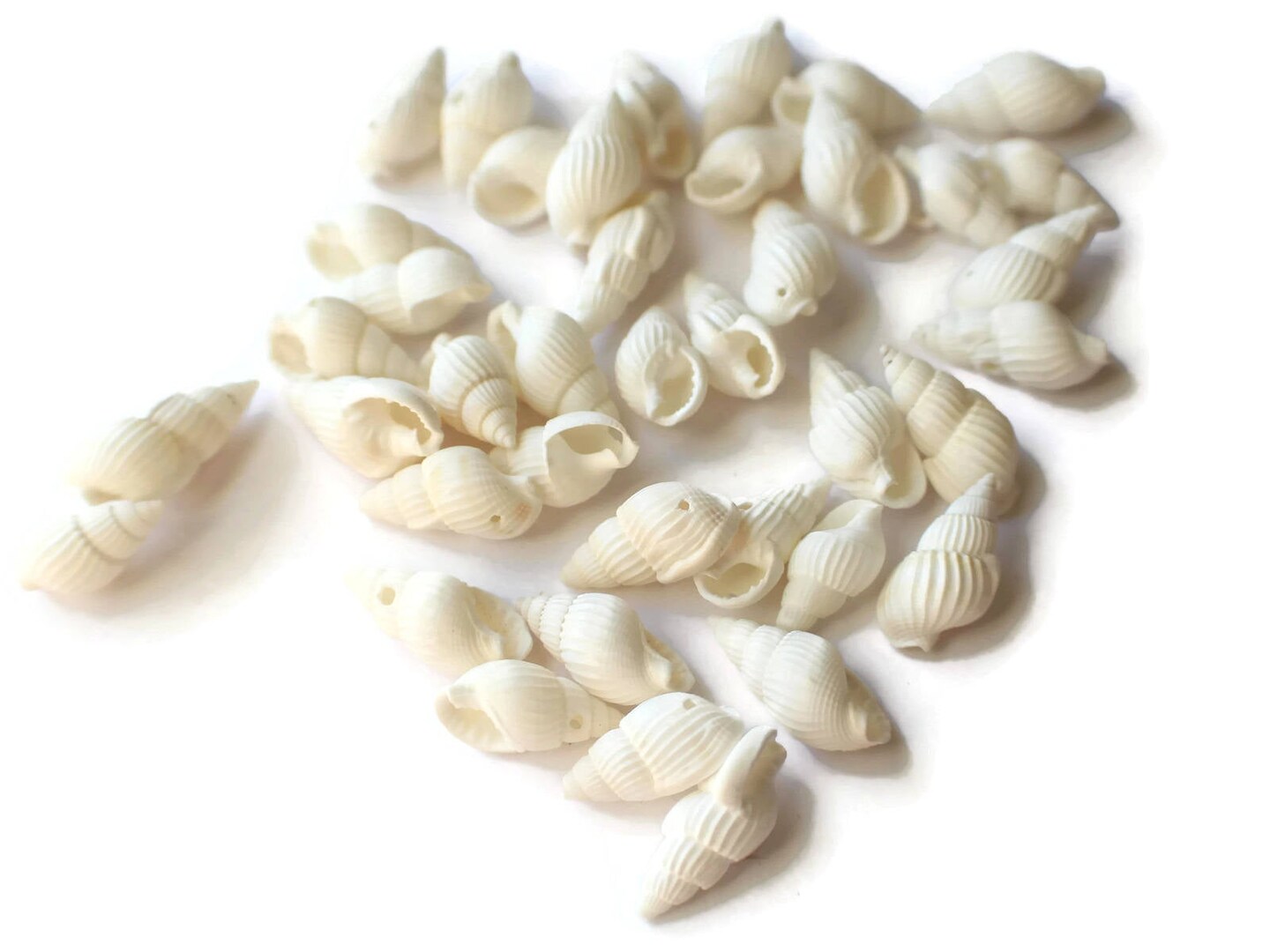 40 17mm to 27mm White Spiral Seashell Beads Natural Shell Beads