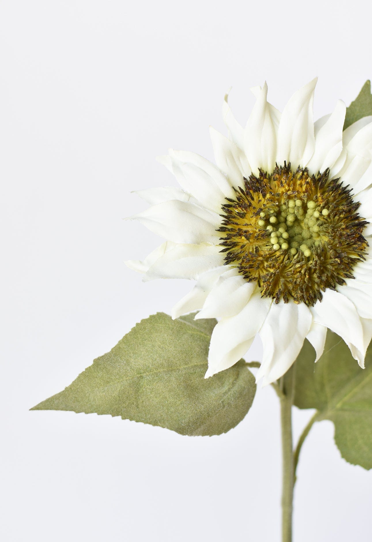 25&#x22; Faux Sunflower Stem White