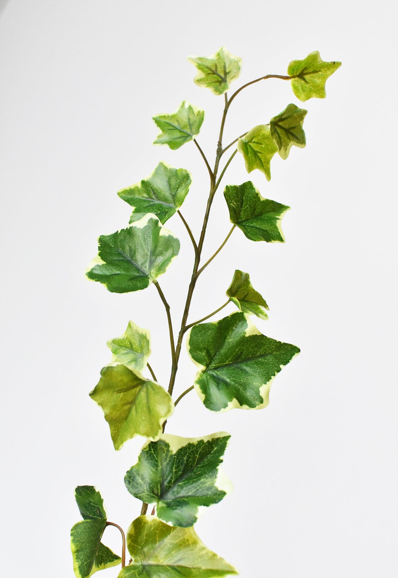 25&#x22; Faux  Variegated Green Ivy Stem