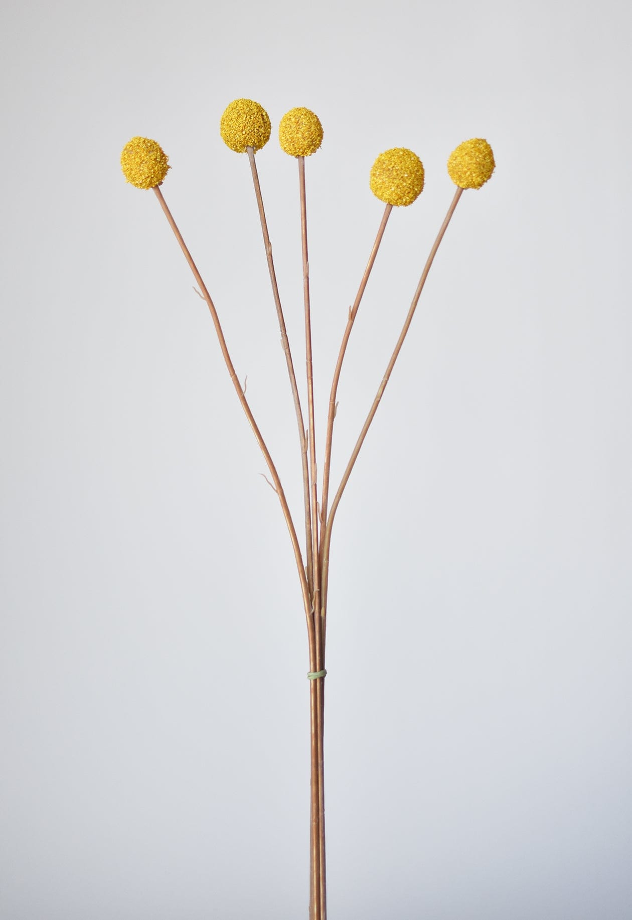28&#x22; Faux Yellow Billy Ball Stem Bundle