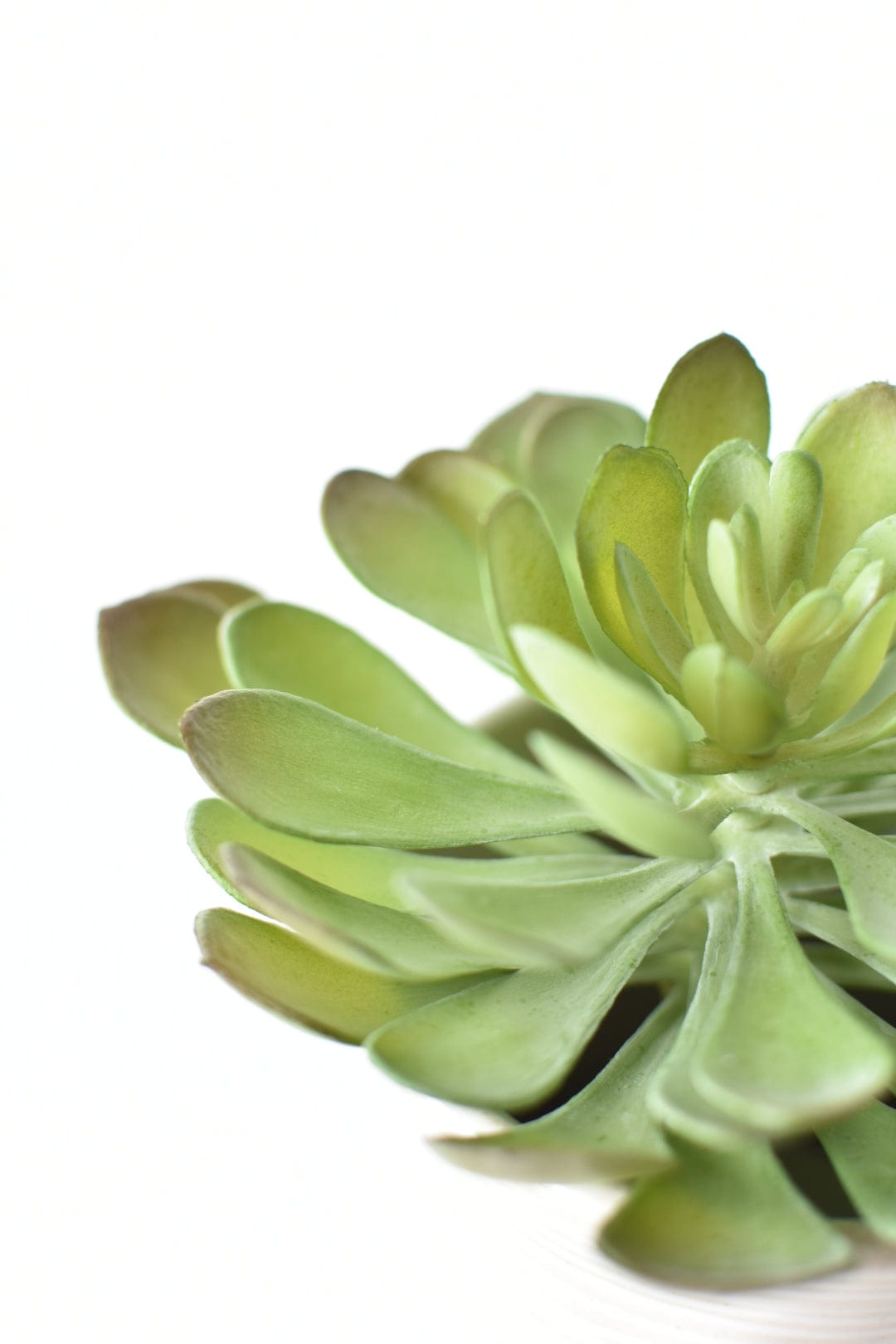 6&#x22; Faux Soft Aeonium Succulent Pick