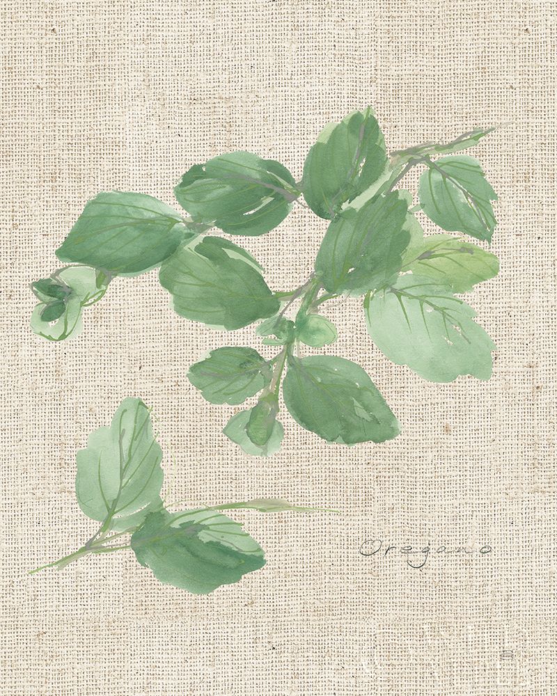 Oregano on Burlap Poster Print by Chris Paschke # 56973