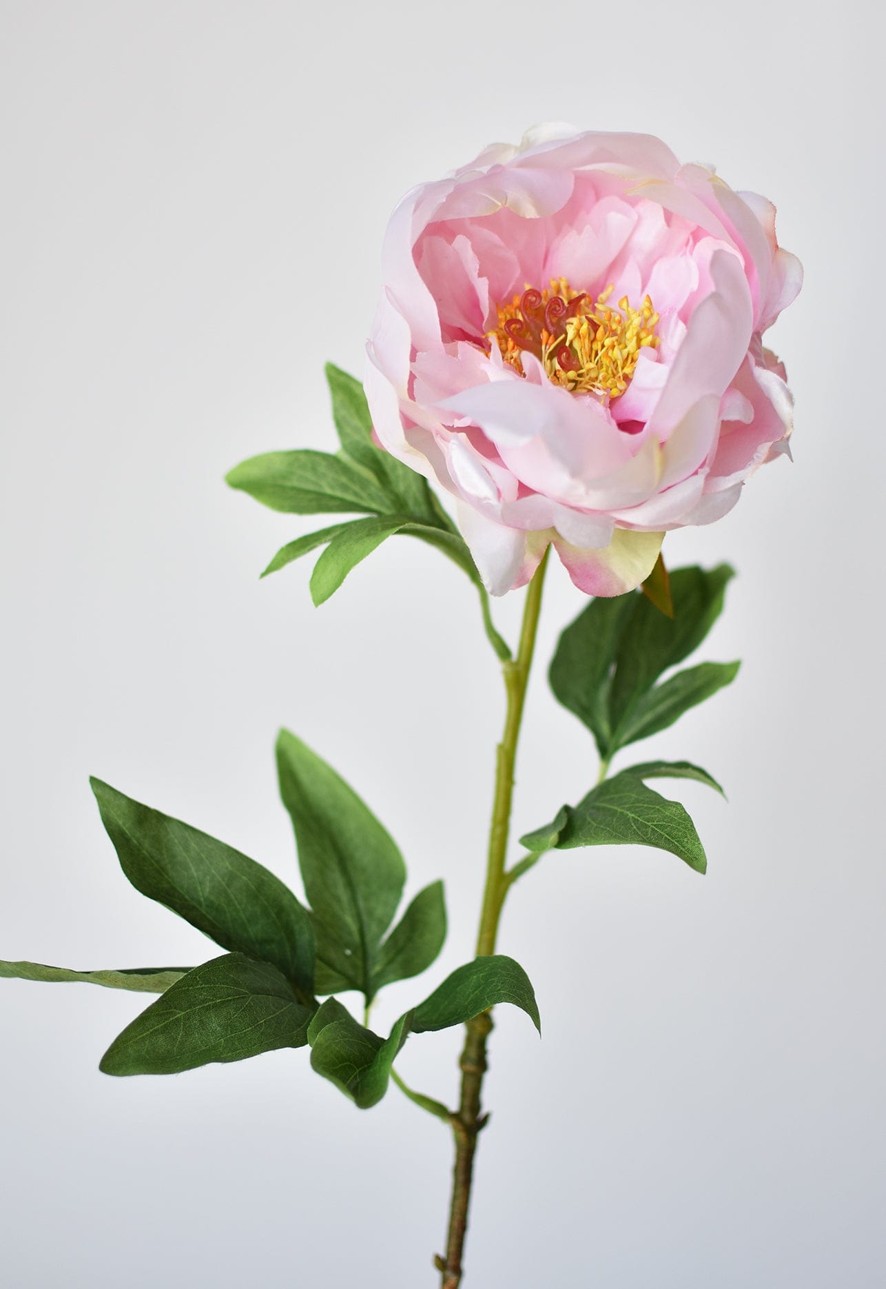22&#x22; Faux Pink Peony Stem