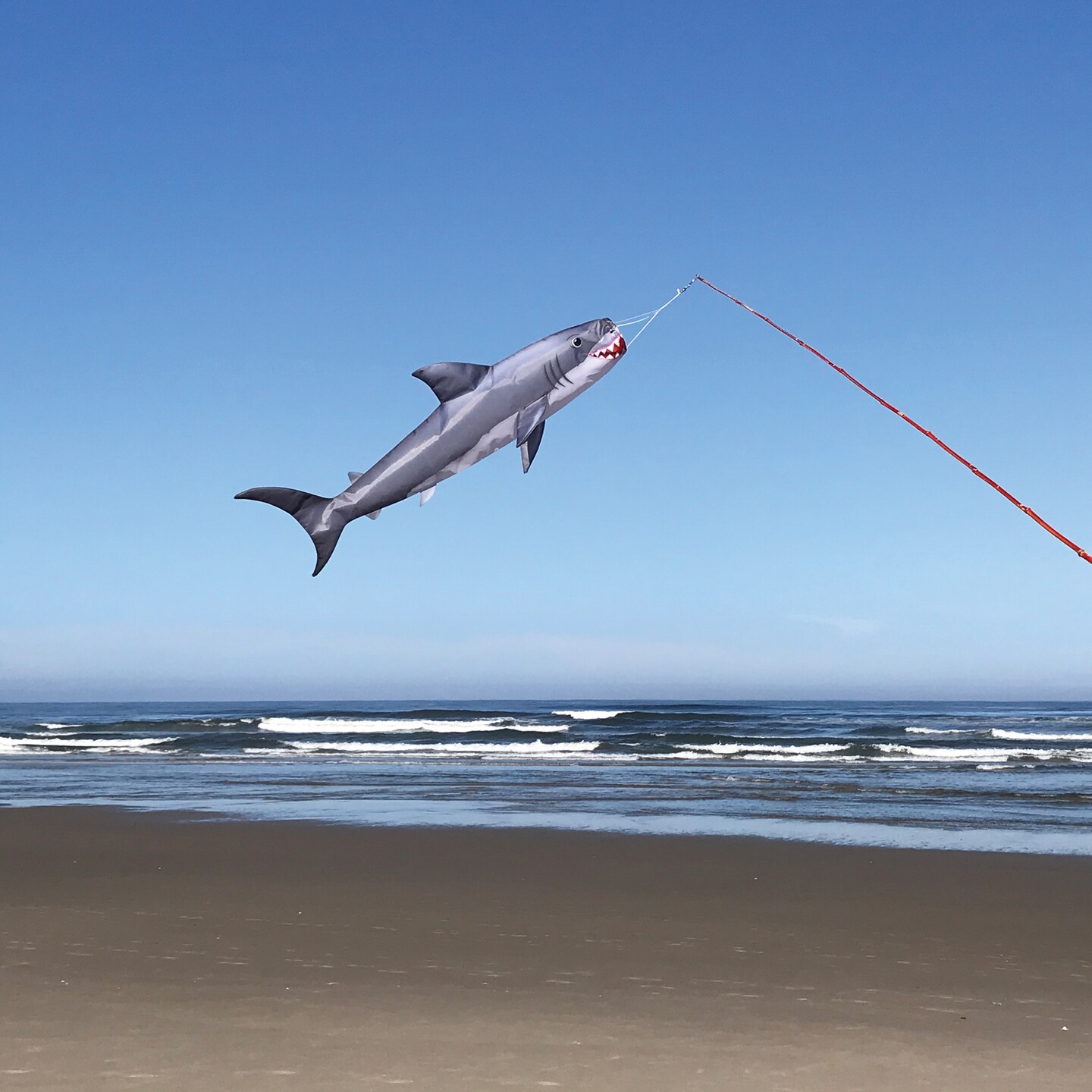 In the Breeze 5154 - Baby Shark 30&#x22; Fish Windsock - Realistic Shark Fishsock