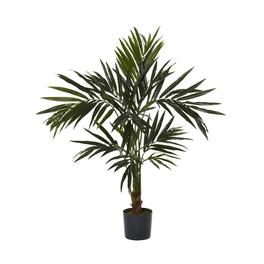 Algopix Similar Product 11 - Nearly Natural 5340 Kentia Silk Tree