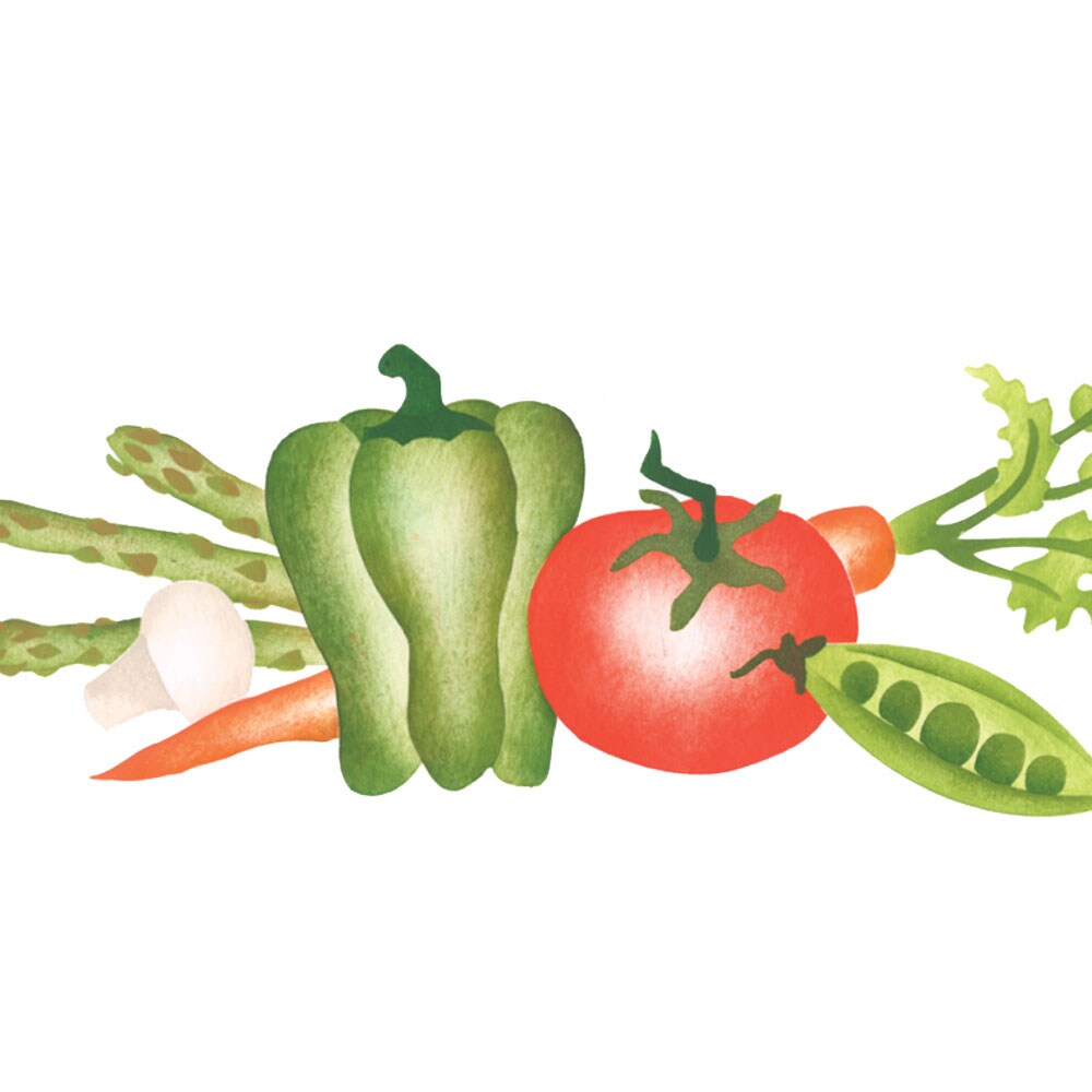 Vegetable Group Wall Stencil | 3270 by Designer Stencils | Reusable Art Craft Stencils for Painting on Walls, Canvas, Wood |